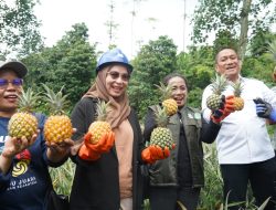 Pandu Juara Lutim Belajar ke Sentra Nanas Kediri Irwan Bachri Syam