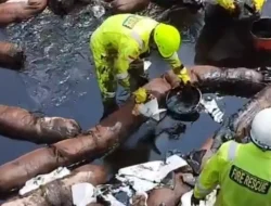 Kebocoran Pipa Minyak Cemari 30 Hektar Sawah, DPRD dan Pospera Luwu Timur Desak PT Vale Tanggung Jawab