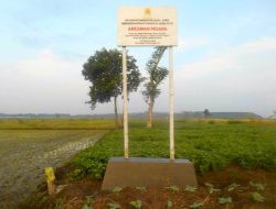 Petani Pertanyakan Status Lahan Laoli Usai Papan Dicabut