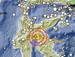 Gempa M3,7 Guncang Luwu Timur Berpusat di Darat